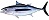 TUNA