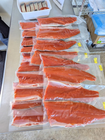 tuna fishing charter