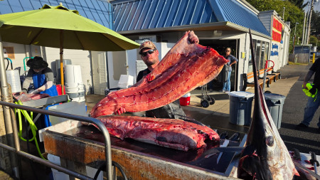 tuna fishing charter