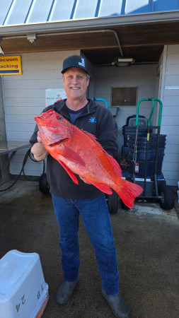 tuna fishing charter