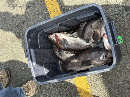 tuna fishing charter