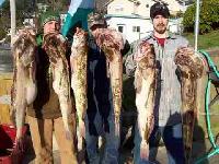 Whale Watching Depoe Bay Good days catch!