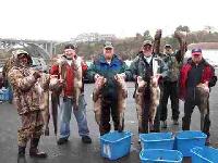 Whale Watching Depoe Bay 