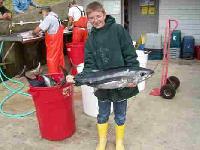 Whale Watching Depoe Bay First Tuna � Hooked for Life