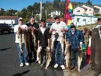 Whale Watching Depoe Bay Brad Chummed These Up