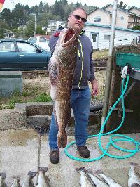 Whale Watching Depoe Bay CODZILLA WAS FOUND, 44 inches, 37 pounds