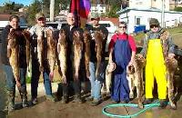 Whale Watching Depoe Bay Does This Beat Working?