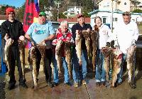 Whale Watching Depoe Bay Deep Water Denizens 