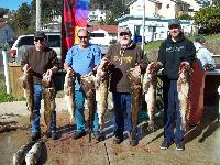 Whale Watching Depoe Bay Way to go Joe