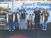 Whale Watching Depoe Bay Salmon Tonight