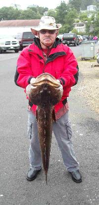 Whale Watching Depoe Bay 