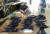 Whale Watching Depoe Bay Great Tuna Catch on the Endeavor