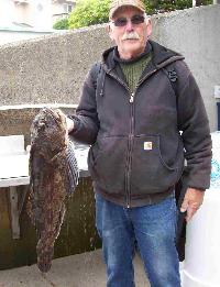 Whale Watching Depoe Bay Great Catch, Great Eats