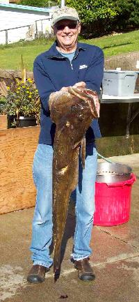Whale Watching Depoe Bay Notice the Wound Amidship (on the fish)