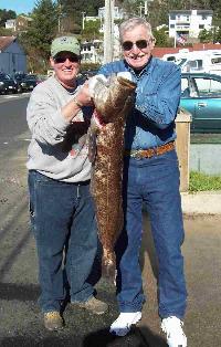 Whale Watching Depoe Bay 