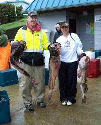 Whale Watching Depoe Bay Anyone Know a Chiropractor?