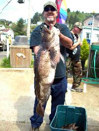 Whale Watching Depoe Bay Whole Lotta Ling