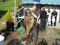 Whale Watching Depoe Bay Halibut on the Menu?