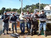 Whale Watching Depoe Bay Tunaholics