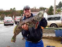 Whale Watching Depoe Bay 