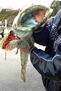 Whale Watching Depoe Bay 