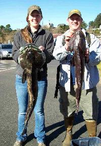 Whale Watching Depoe Bay 