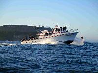 Whale Watching Depoe Bay 