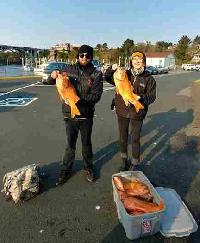 Whale Watching Depoe Bay 