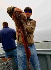 Whale Watching Depoe Bay 