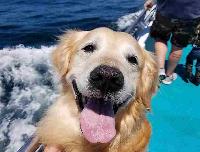 Whale Watching Depoe Bay 