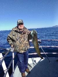 Whale Watching Depoe Bay 