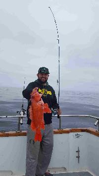 Whale Watching Depoe Bay 