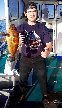 Whale Watching Depoe Bay 