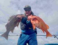 Whale Watching Depoe Bay 