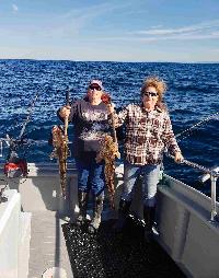 Whale Watching Depoe Bay 