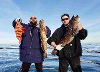 Whale Watching Depoe Bay 