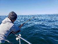 Whale Watching Depoe Bay Fish-On