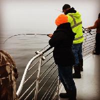 Whale Watching Depoe Bay 