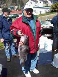 Whale Watching Depoe Bay 