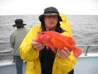 Whale Watching Depoe Bay NEMO has been found