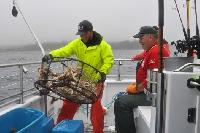 Whale Watching Depoe Bay 