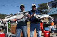 Whale Watching Depoe Bay Two pigs from the Affair