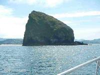 Whale Watching Depoe Bay 