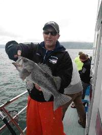 Whale Watching Depoe Bay 