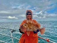 Whale Watching Depoe Bay 