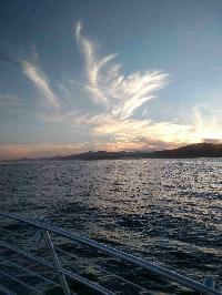 Whale Watching Depoe Bay 