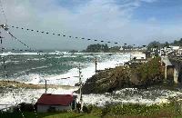 Whale Watching Depoe Bay 