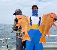 Whale Watching Depoe Bay 