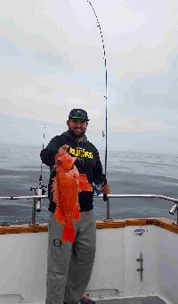 Whale Watching Depoe Bay 