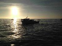 Whale Watching Depoe Bay Fair Seas and Godspeed Jim Lynn